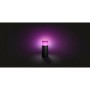 Stalp LED RGB extensie pentru iluminat exterior Philips Hue Calla, 8W (49W), 590 lm, lumina alba si color (2000-6500K), IP44, 25
