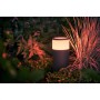 Stalp LED RGB extensie pentru iluminat exterior Philips Hue Calla, 8W (49W), 590 lm, lumina alba si color (2000-6500K), IP44, 25