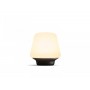 Lampa LED Philips Hue Wellness, Bluetooth, E27, 6W (60W), 806 lm, lumina alba (2200-6500K), IP20, 18.6cm, Sticla, Negru, Intreru