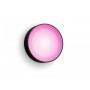 Aplica LED RGB pentru exterior Philips Hue Daylo, 15W (80W), 1050 lm, lumina alba si color (2000-6500K), IP44, 220x76mm, Negru